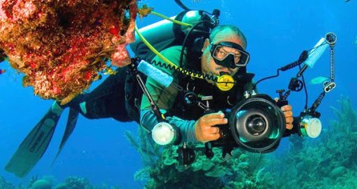 Piratas, barcos hundidos y corales: el paraíso submarino de Punta Francés 1 fotosub